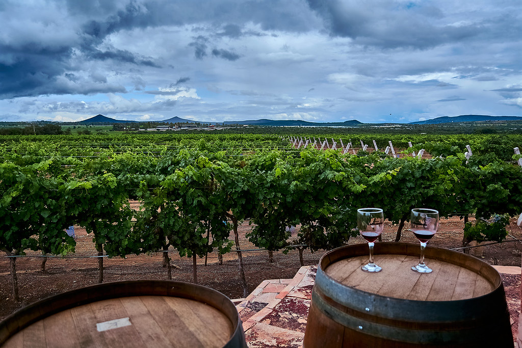 From Mexico City : Private Wine & Cheese Tour to Queretaro