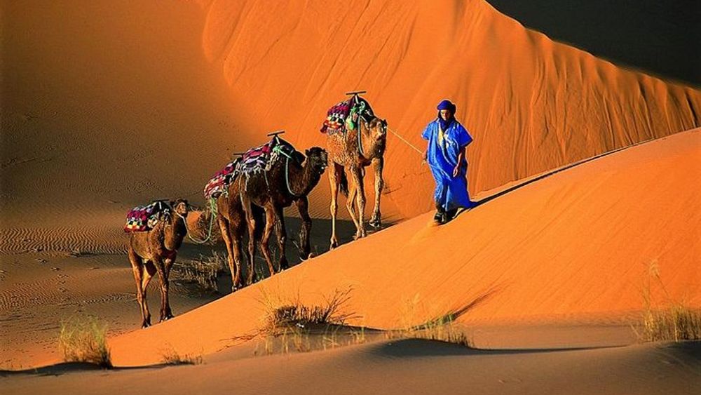 1 Night Camel Trek Bivouac From Merzouga