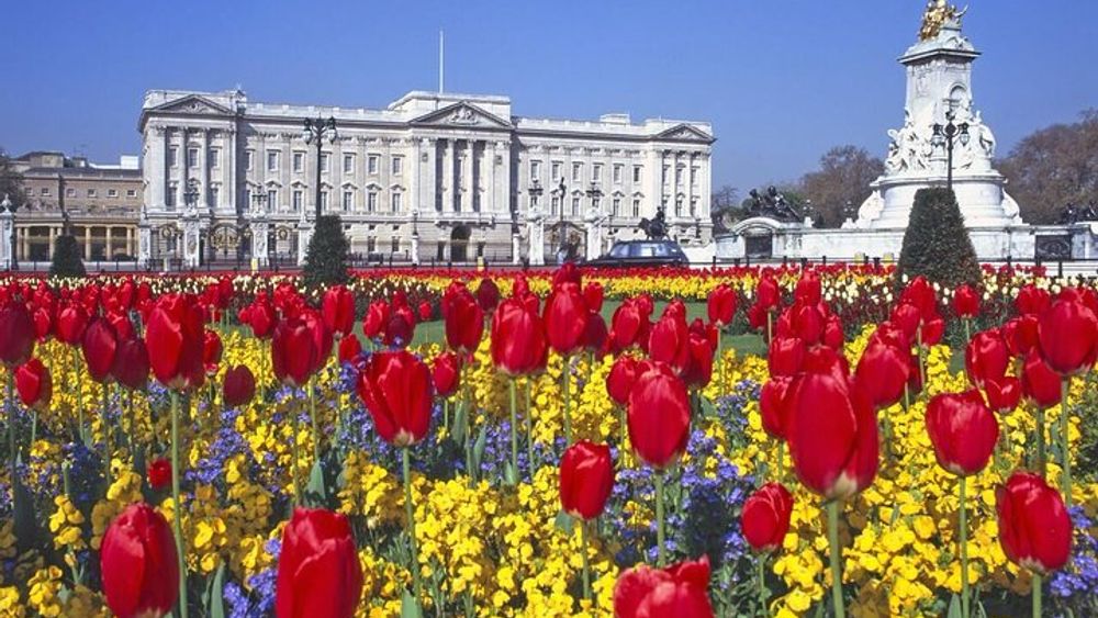 Self-Guided Buckingham Palace and Windsor Castle