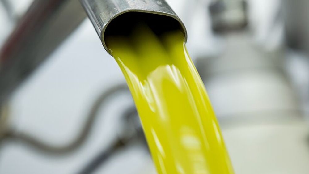 Olive Oil Tour Visit to the oil mill and olive oil tasting