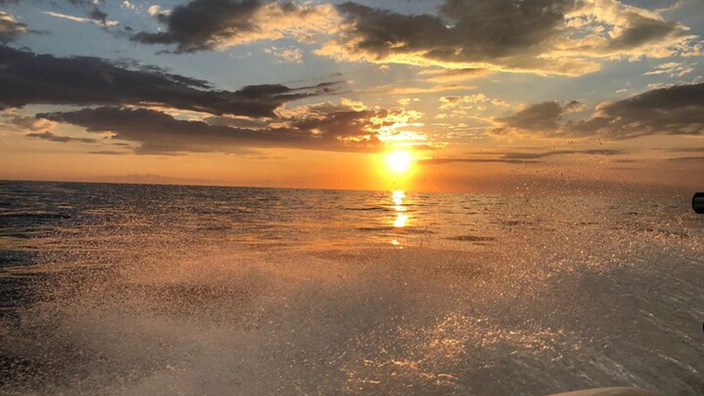 Sunset Cruise with Skyway Bridge Light Tour St. Petersburg, FL