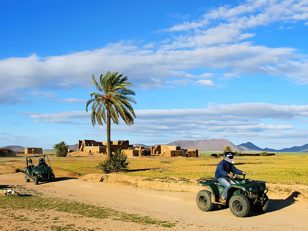 Quad Bike in Jbilets Desert