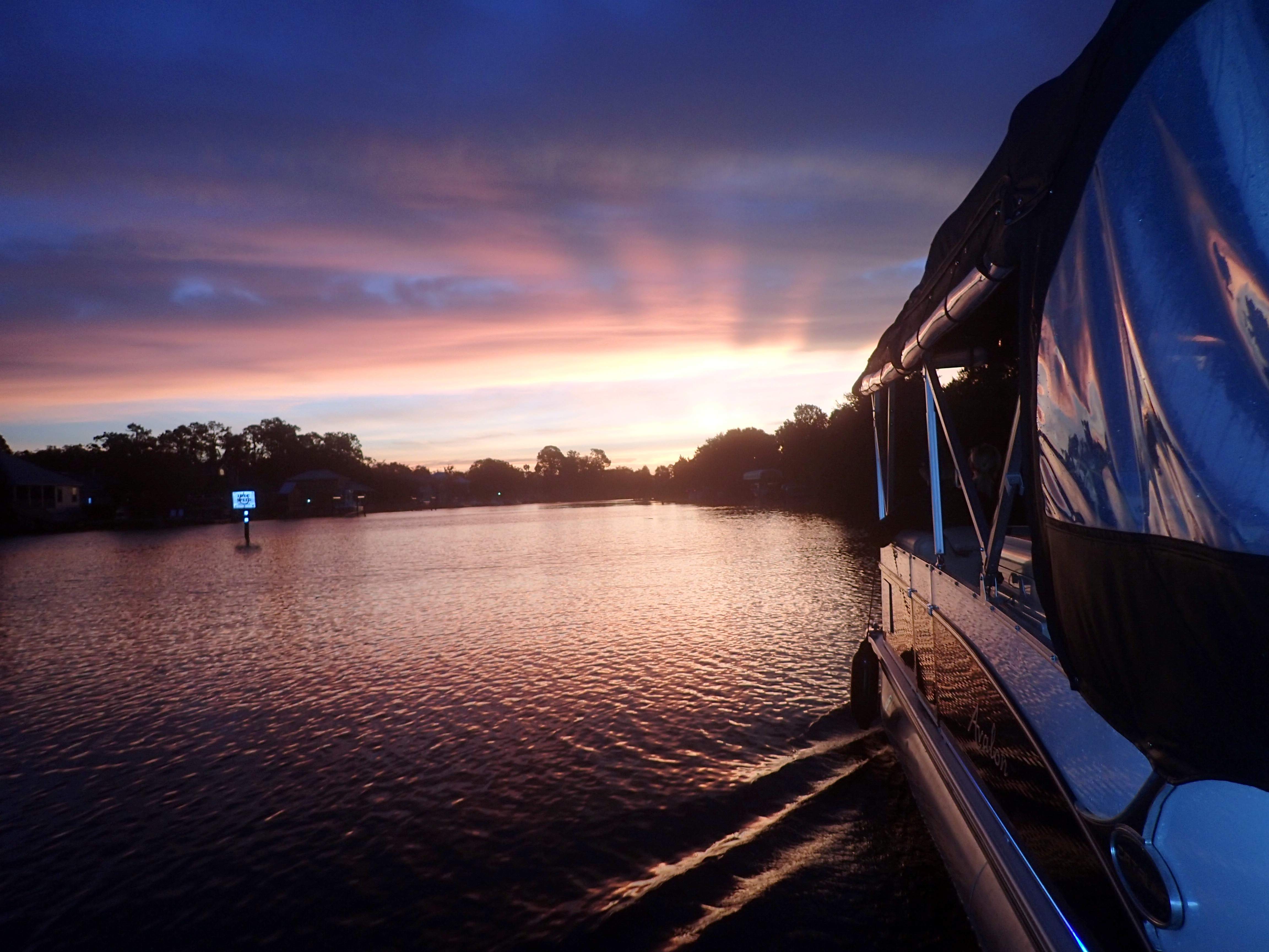 Semi-Private or Private VIP Manatee Tour - Short Pontoon of Privilege