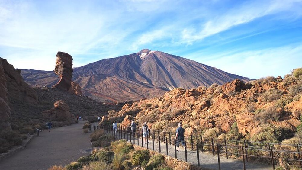 Teide National Park Half-day Private or Small-Group Tour