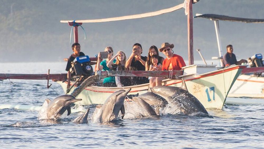 Lovina Dolphin Watching, Snorkeling & Munduk Waterfall