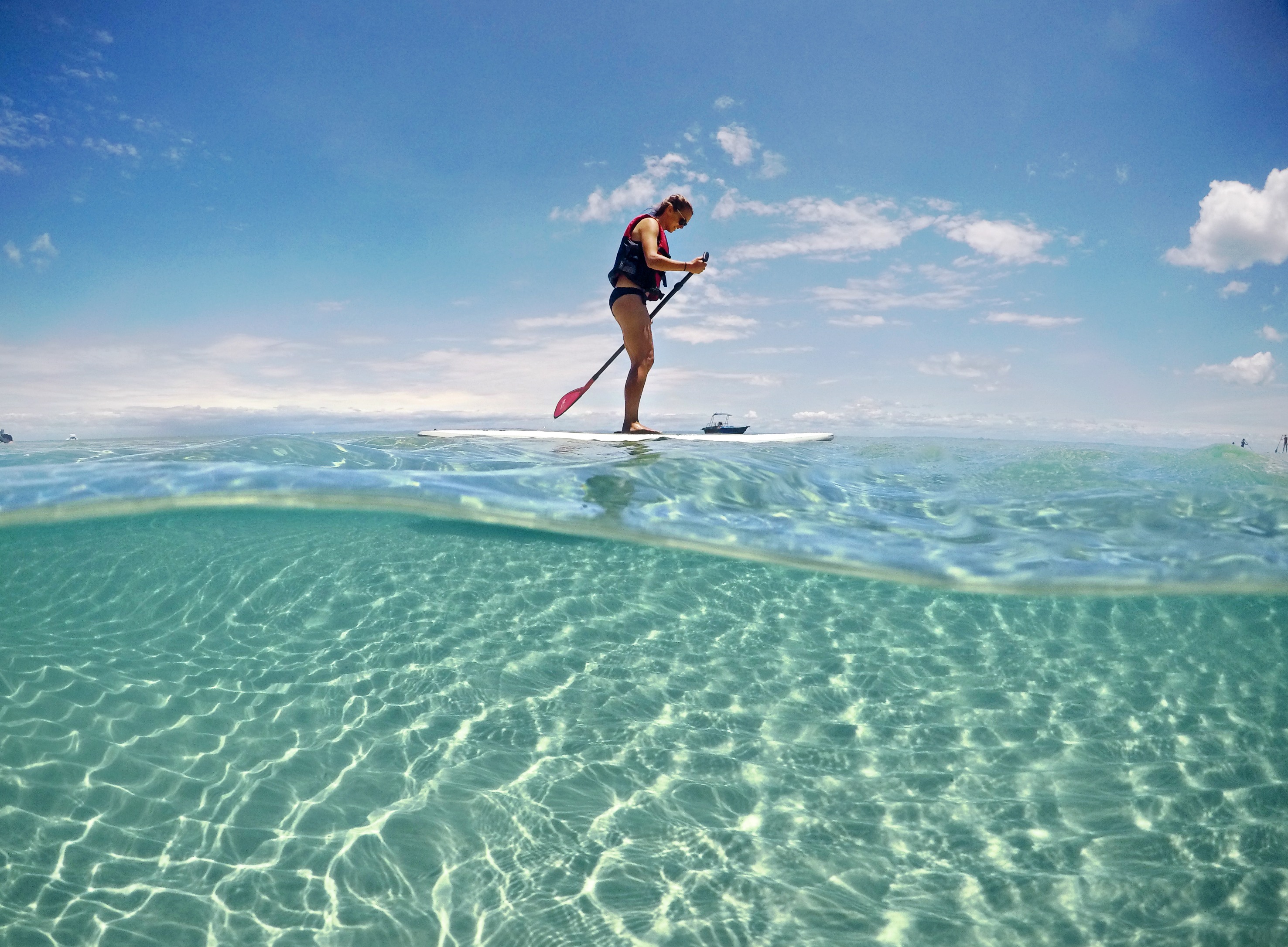 Tangalooma Wrecks Adventure Tour from Brisbane