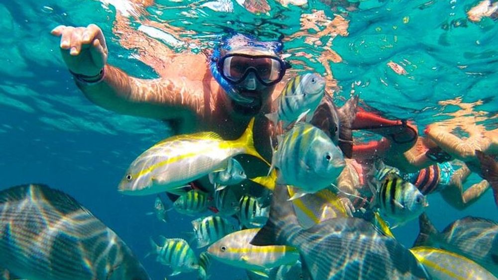 Cancun to Isla Mujeres All-Inclusive Catamaran Sailing Tour