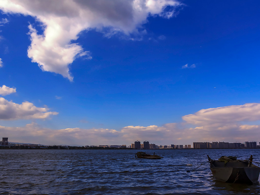 Full Day Birding Tour at Wucheng Poyang Lake Nature Reserve Private