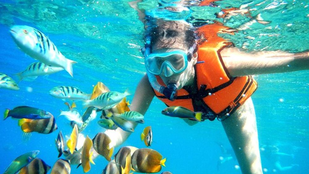 Puerto Morelos Half-Day Snorkeling Tour and Lunch on the Beach