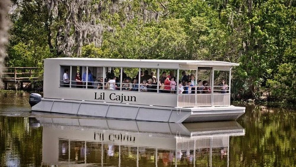 Swamp and Bayou Tour with Boat Ride from New Orleans