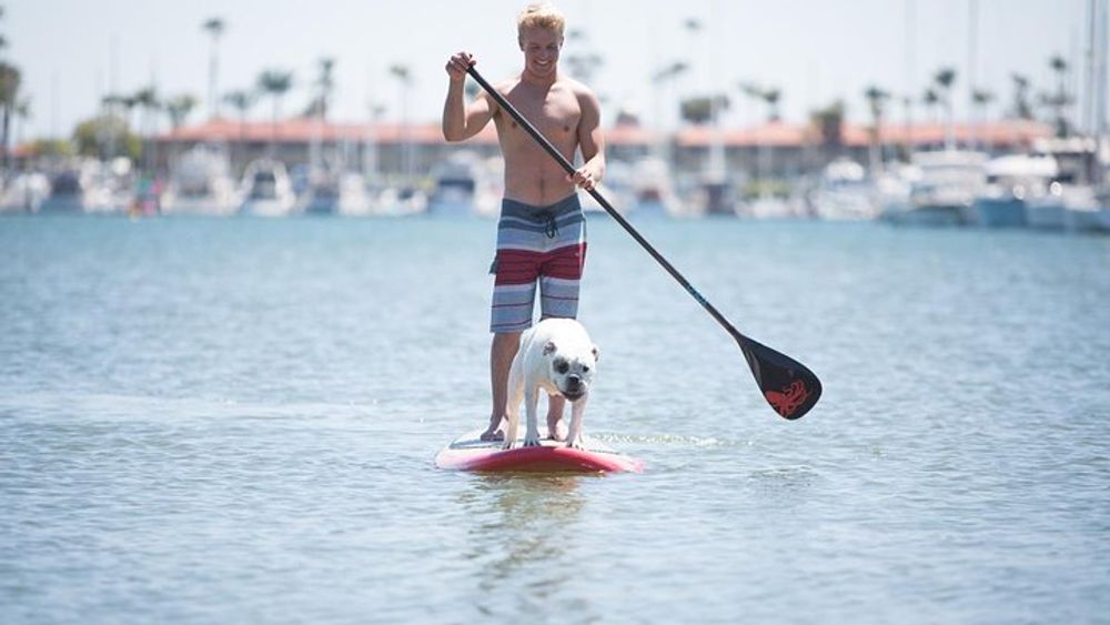 Fort Lauderdale Paddleboard Rental