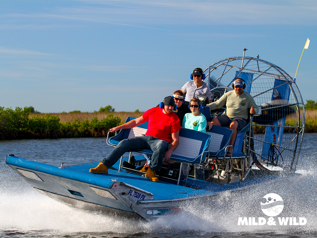 Gulf Airboat Ride & Dolphin Quest - Homosassa