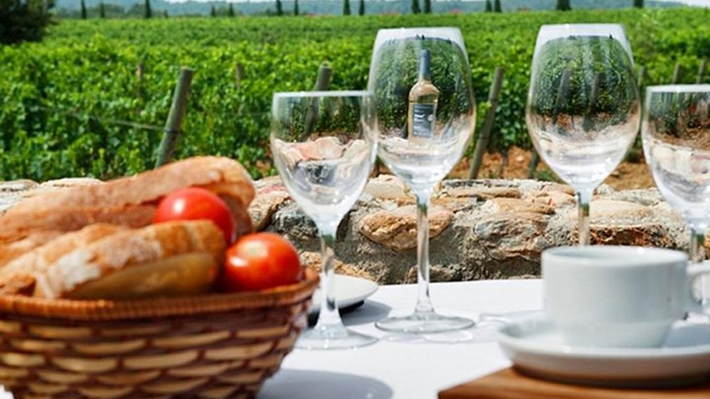 Wines Tasting and Typical Breakfast Small Group Tour from Girona