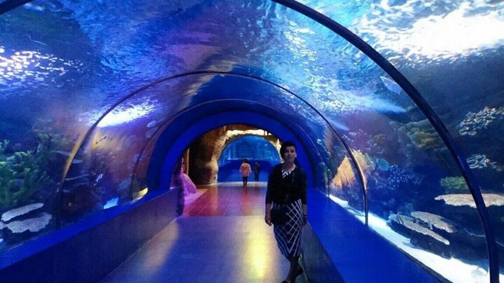 Antalya Aquarium and Face2Face Wax Museum Skip-the-Line Ticket