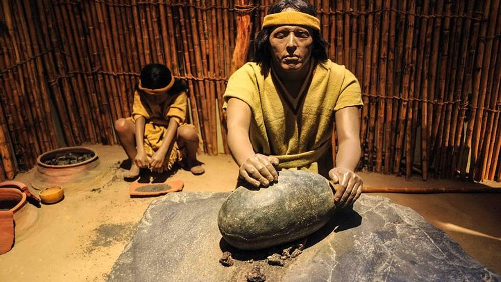 Chiclayo to Sican Museum and Batan Grande Site Half-Day Tour