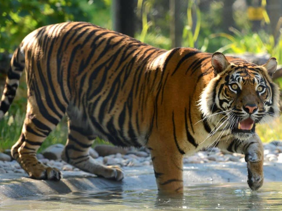 Drayton Manor Theme Park