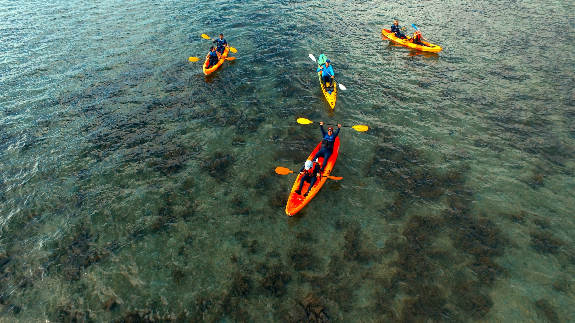 Kayak Turtle Tour