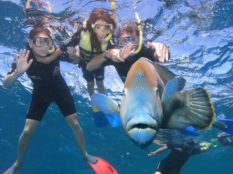Green Island Eco Tour incl Seawalker