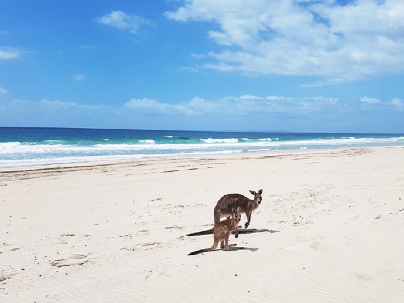 Bribie Island 4X4 Adventure Tour ex Brisbane