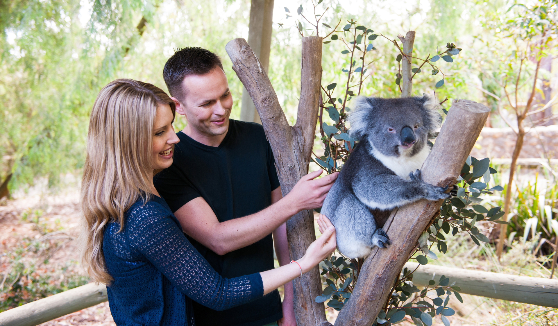Cleland Wildlife Park Experience