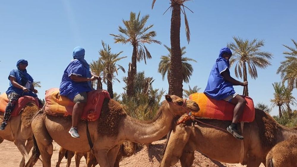 Marrakech One-Hour Camel Ride