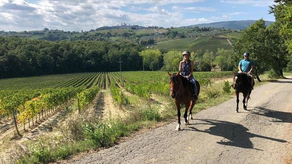 Horseback ride, visit to S.Gimignano, tuscan lunch, wine tasting, Chianti winery