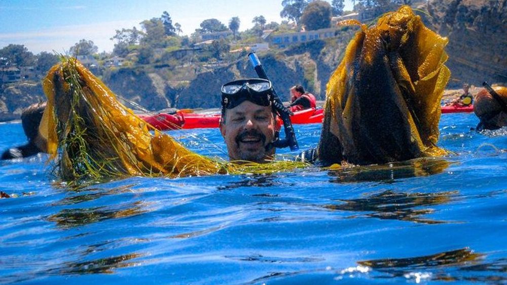 La Jolla Kayak and Snorkel Tour