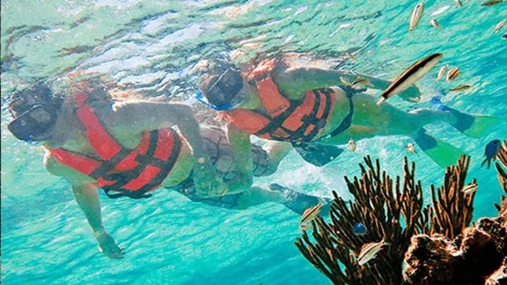 Puerto Morelos Reef Park Full-Day Snorkeling Tour from Cancun