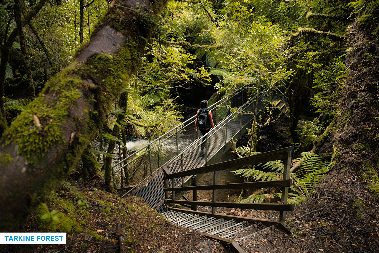 14 Night/15 Day BYO Car - Self Drive Holiday with Innkeepers Tasmania