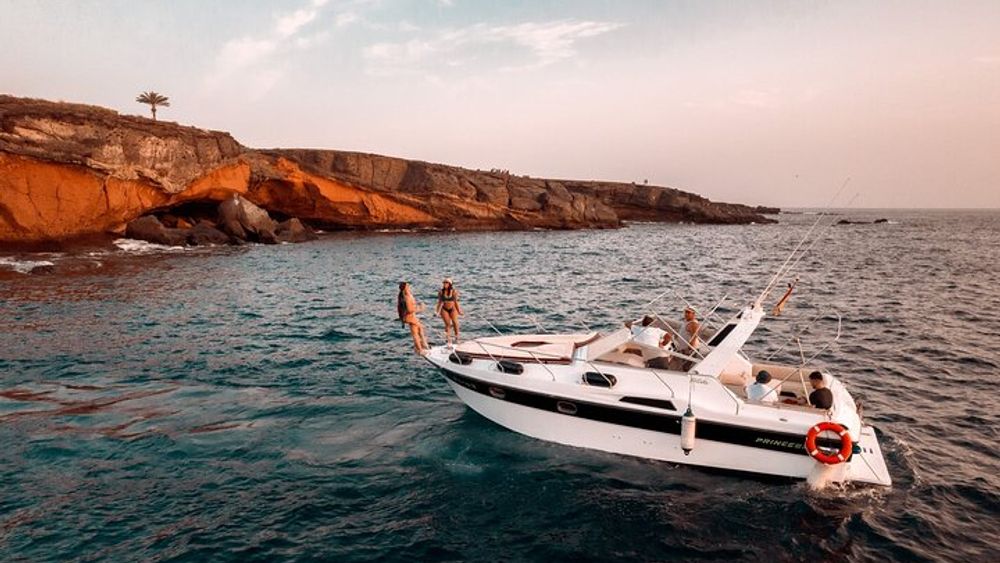 Tenerife Motor Boat Whale Watching & Snorkeling Experience