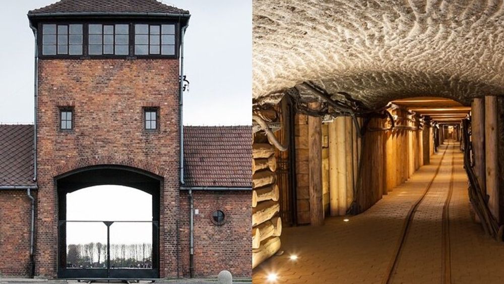 Krakow: Auschwitz-Birkenau and Salt Mine Guided Visits in One Day