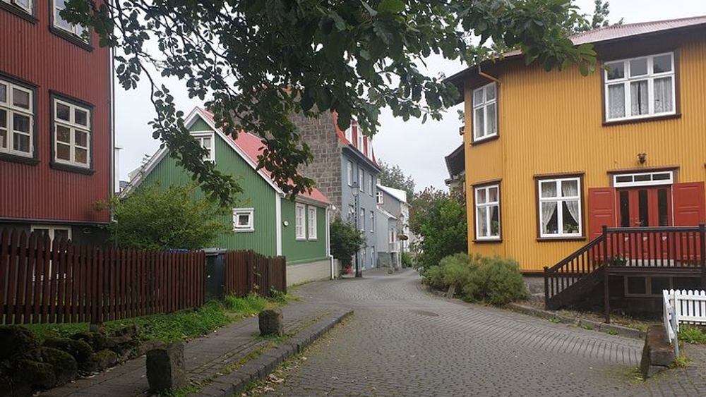 Reykjavík VIP CityWalk Tour