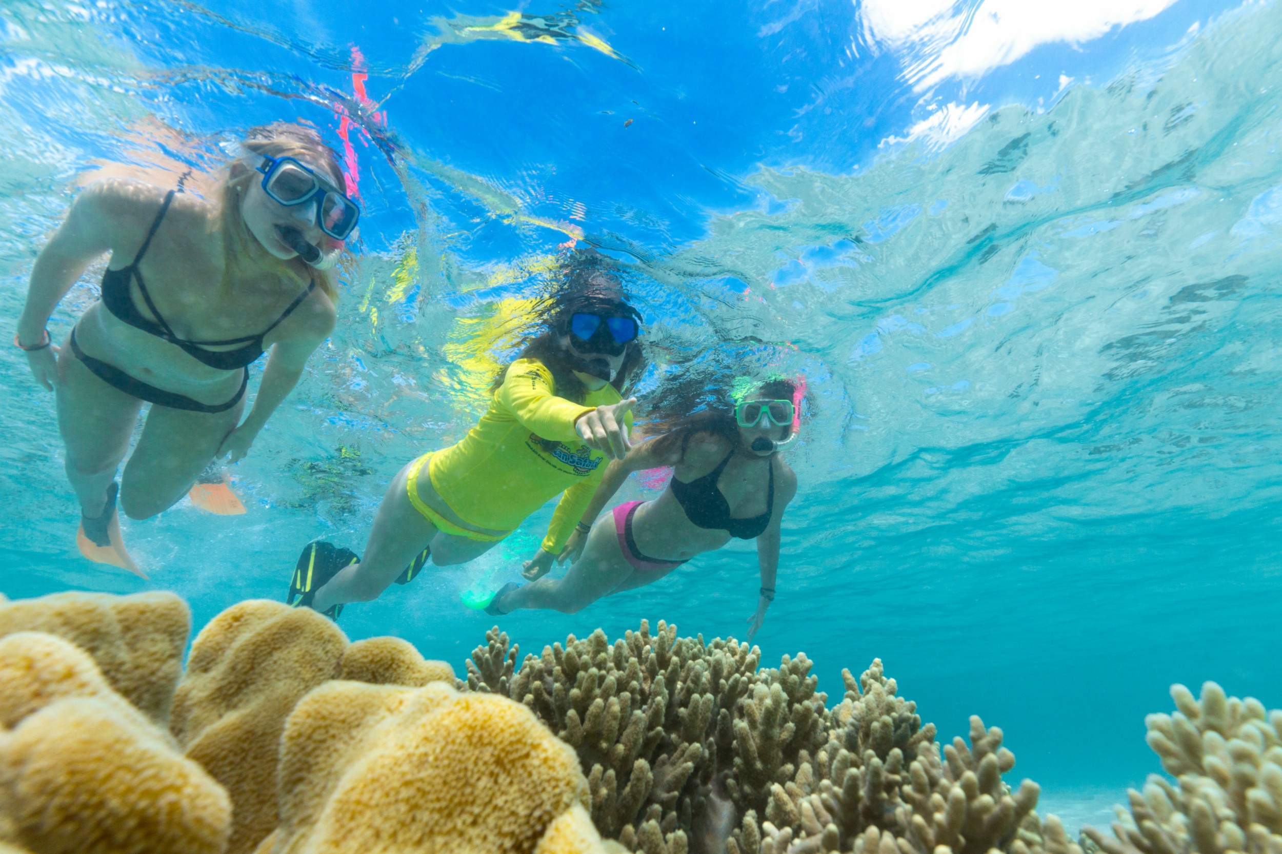 Morning Ocean Safari Great Barrier Reef Adventure