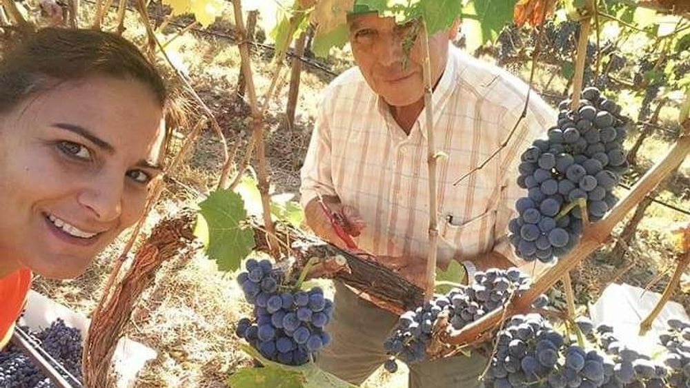 full day Wine Tour from Albufeira