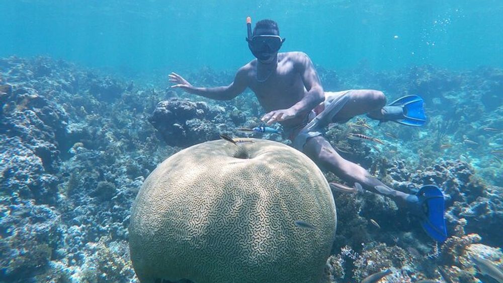 Prívate boat, virgin island and wonderful snorqueling in punta cana