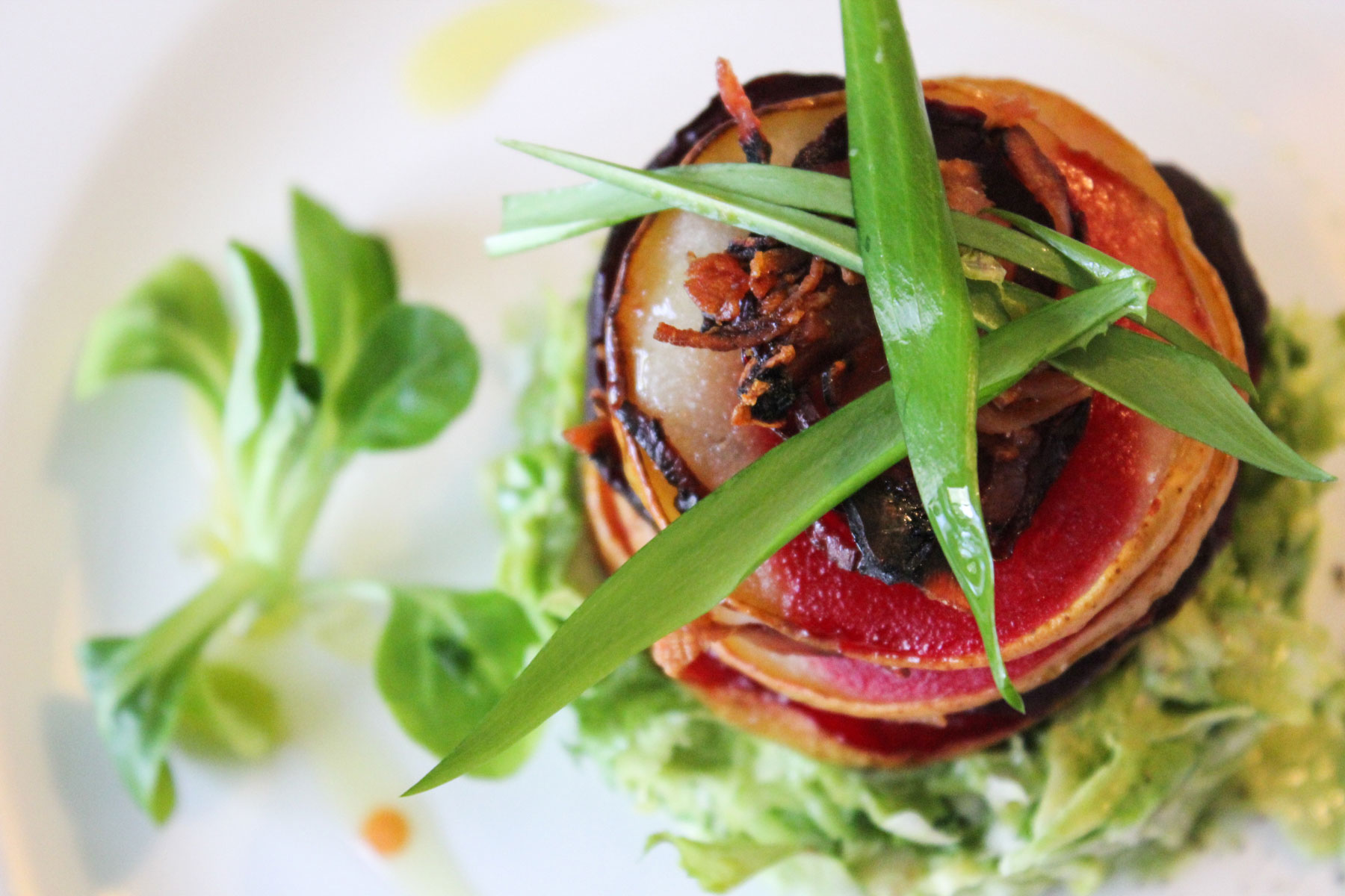 Forage in the Irish Woodlands and Cook with a Chef