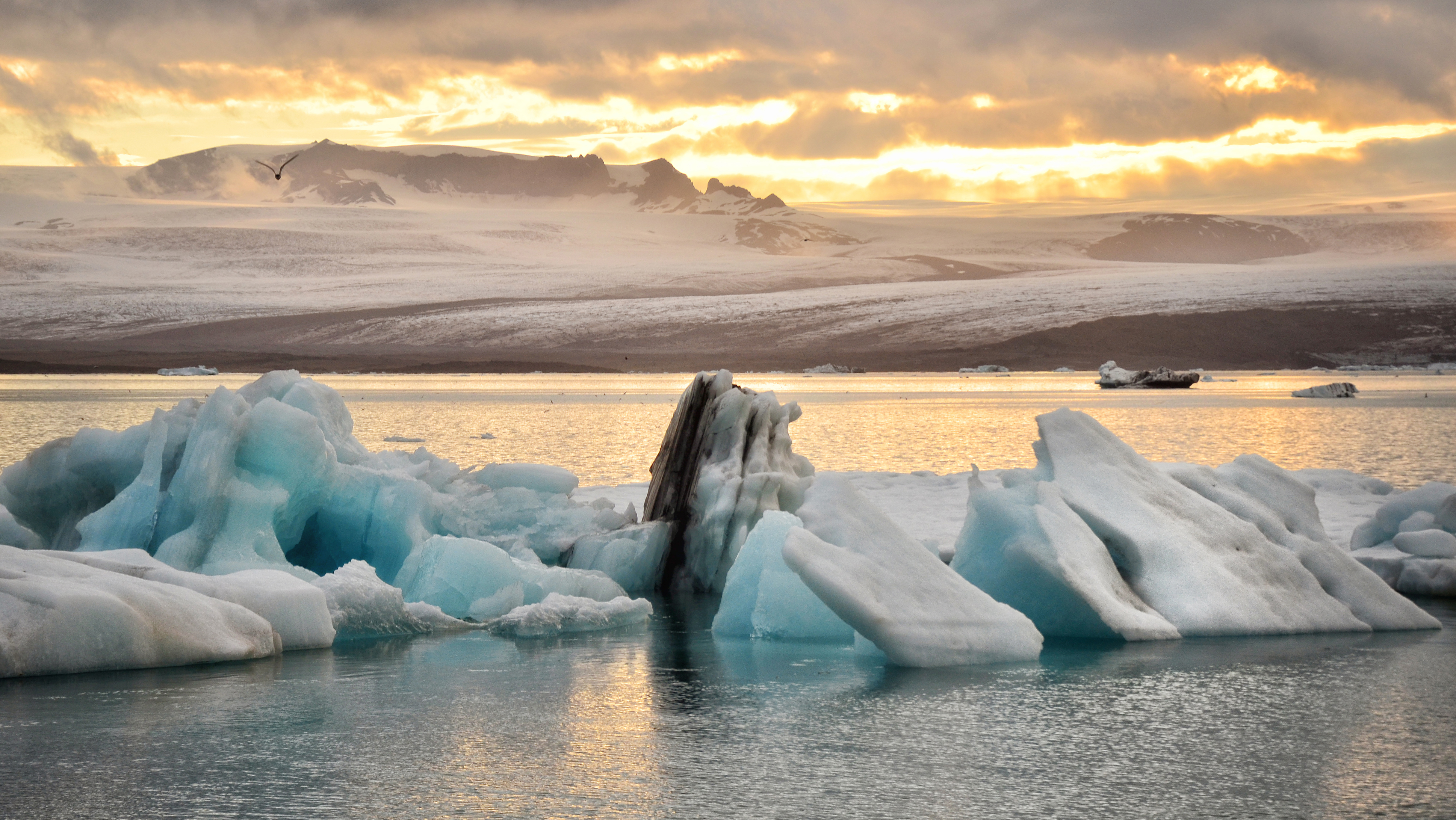 Glacier Lagoon Tour without Boat Ride