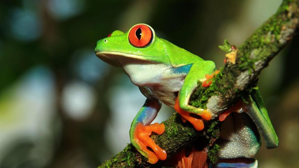 Photography Tour at Natura Eco Park