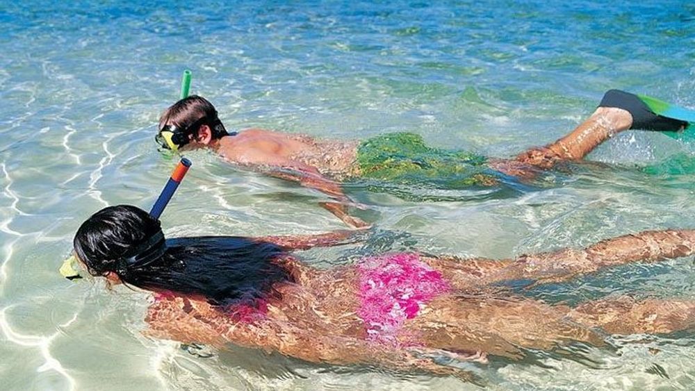 Snorkeling Discovery sailing in Los Cabos