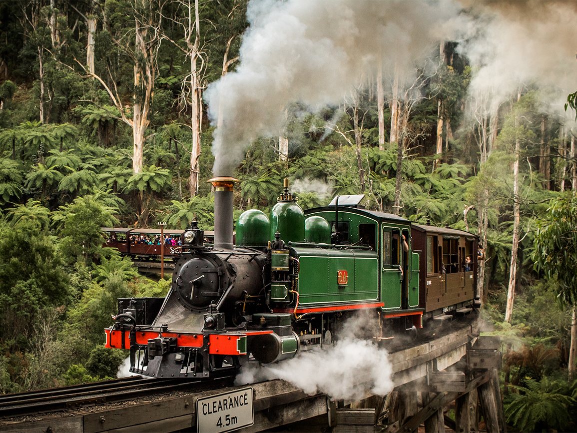 Dandenong Ranges, Puffing Billy & Healesville Day Tour