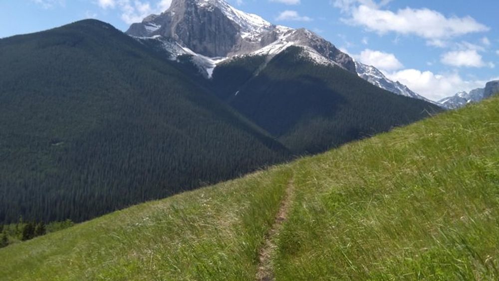 Calgary Small-Group Coal Mine Hike and Beer