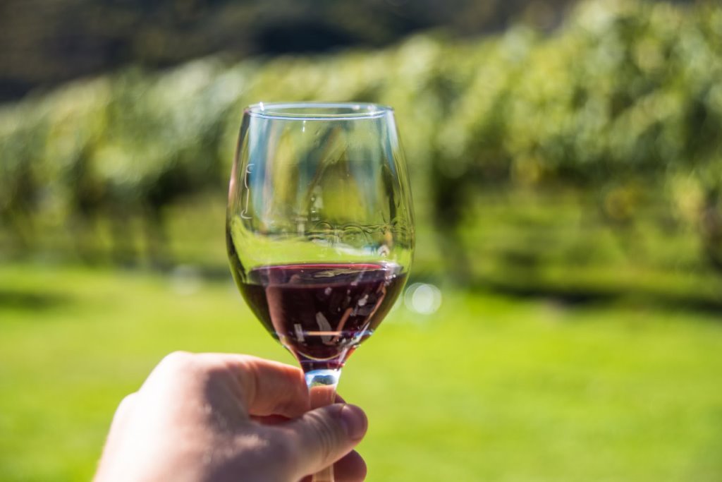 Bike the Wineries - Guided Tour