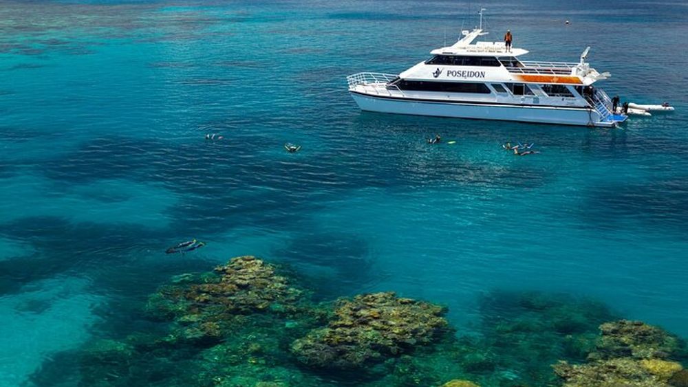 Port Douglas to Outer Barrier Reef Snorkeling, Diving Cruise