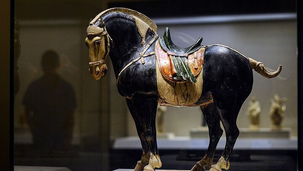 The National Museum of China Guided Tour - Ancient China