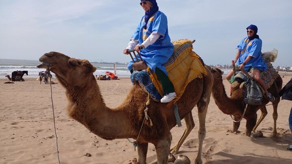 Essaouira Private Camel Ride