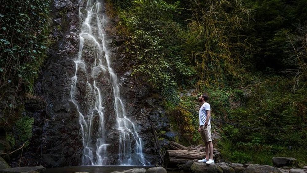 Batumi & Mtirala N.P. Group Hiking Tour from Kutaisi