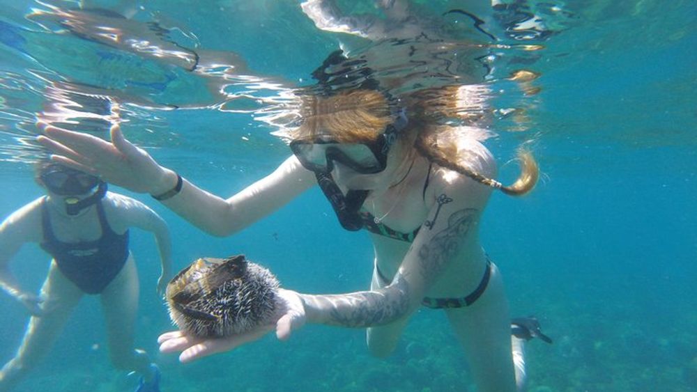 Tres Palmas Marine Reserve Snorkel with Free Photos and Videos