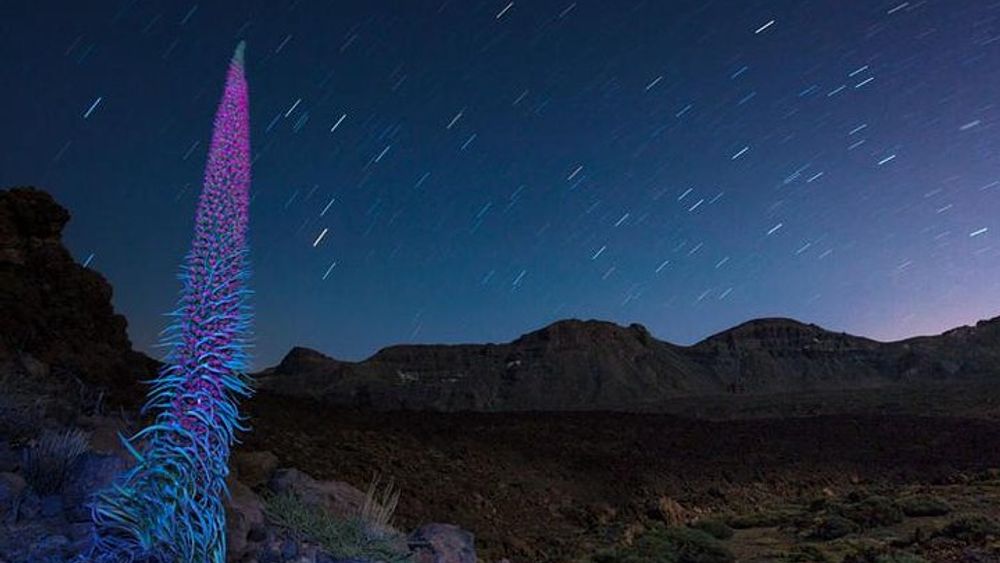 Mount Teide Night Tour: Stargazing, Dinner and Hotel Pick up
