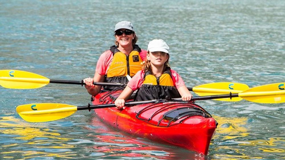 Abu Dhabi Mangrove Kayaking Tour