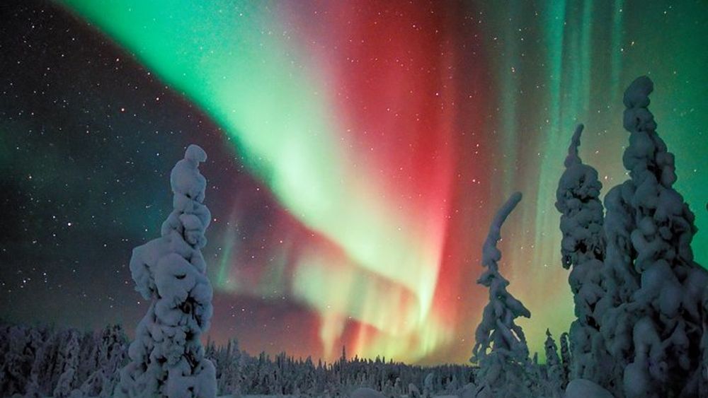 Auroras - Northern Lights Tours by Aurora Experts - Rovaniemi